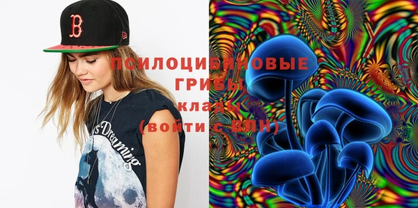 ешки Сафоново