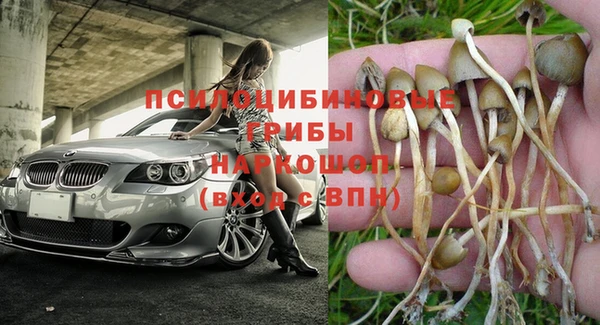 PSILOCYBIN Саяногорск