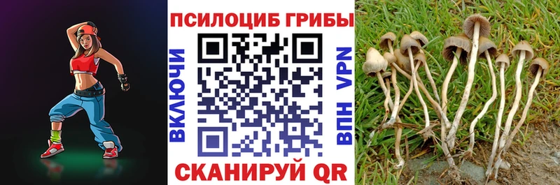 Галлюциногенные грибы Cubensis купить наркотик Балахна